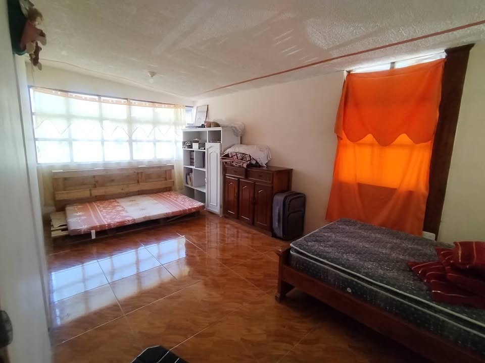 Imagen 14