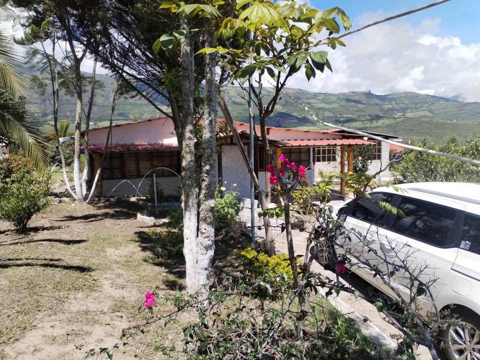 Imagen 4