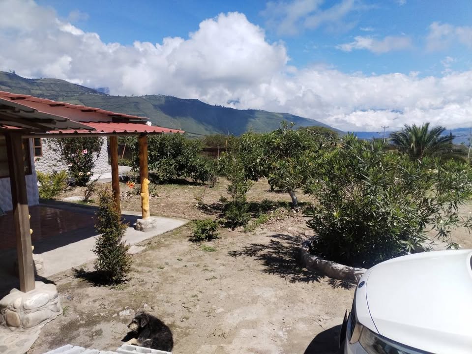 Imagen 5