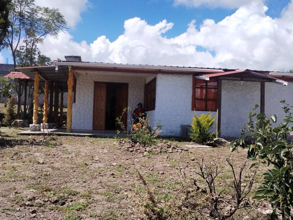 Imagen 6