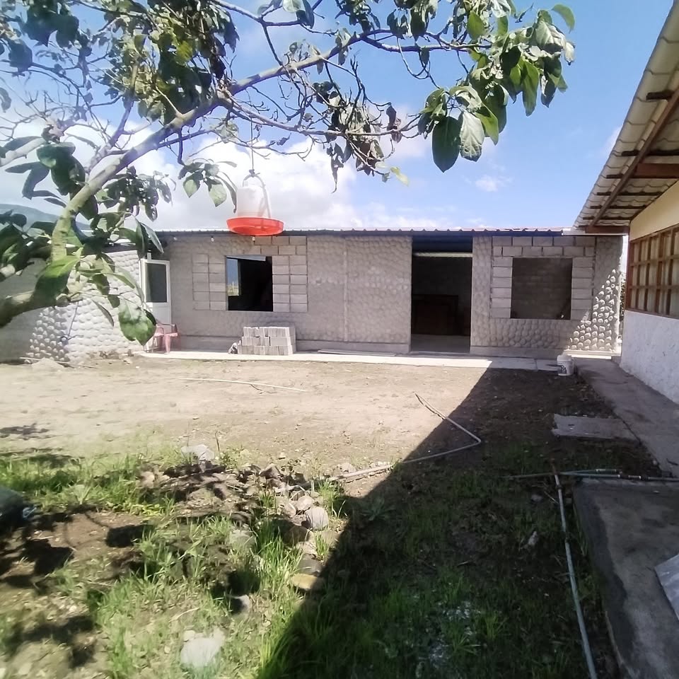 Imagen 9